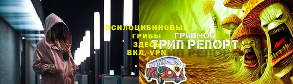 ешки Шали