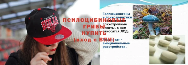 метадон Гусь-Хрустальный