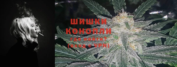 a pvp Гусев