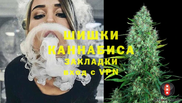 a pvp Гусев