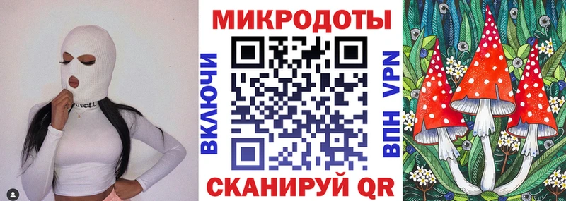 Галлюциногенные грибы Psilocybine cubensis  Пестово 